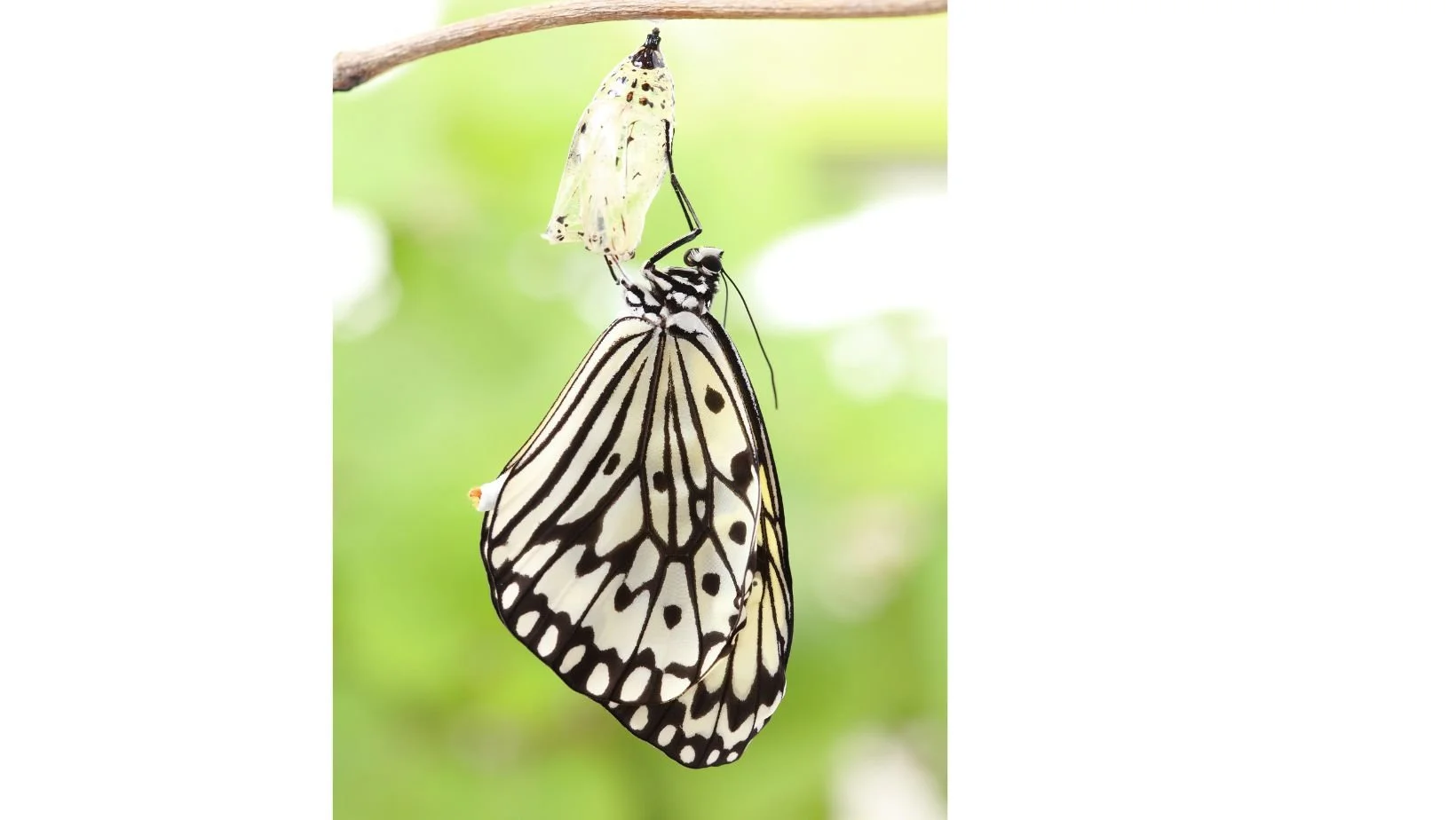 Order of Worship | Sunday, August 27, 2023