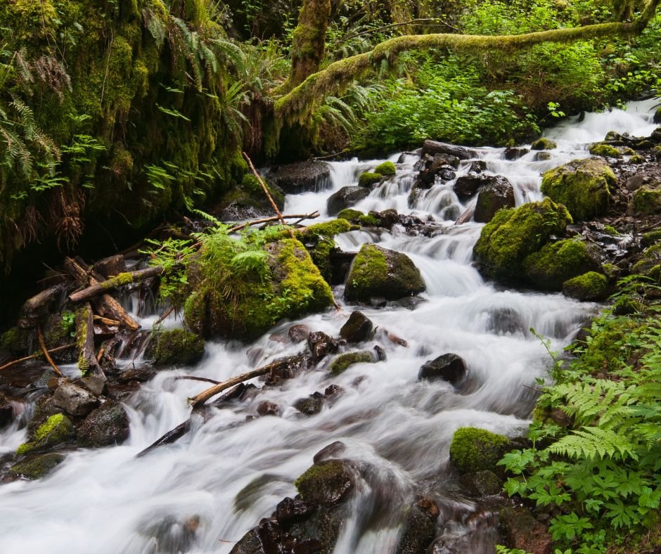 Order of Worship | Sunday, October 15th, 2023