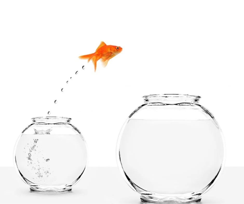 Order of Worship | Sunday, October 29th, 2023 