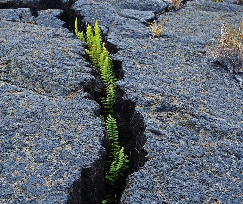 Order of Worship | Sunday, February 4th, 2024