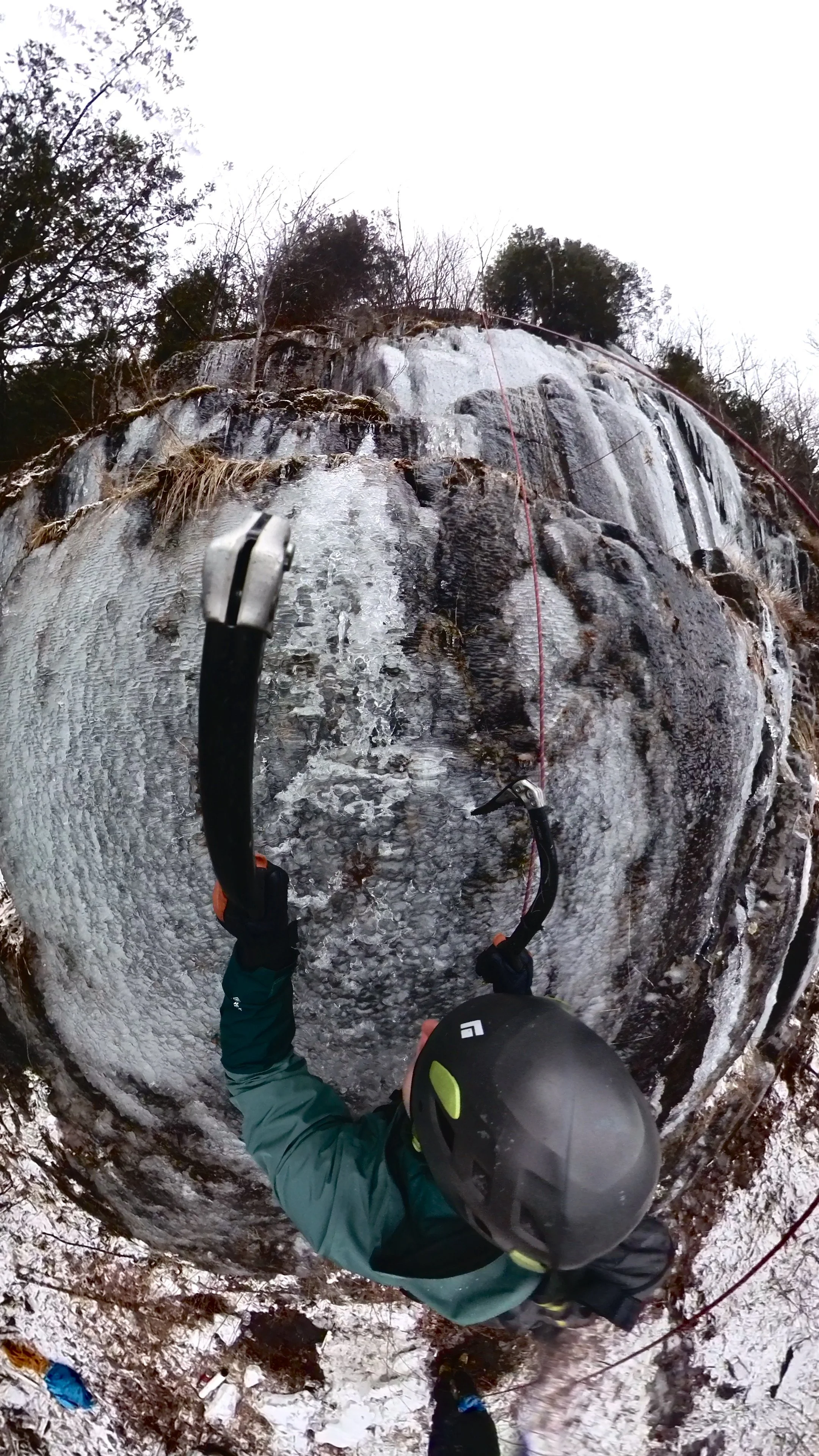 Snapshot_202312354_081200 3.JPG