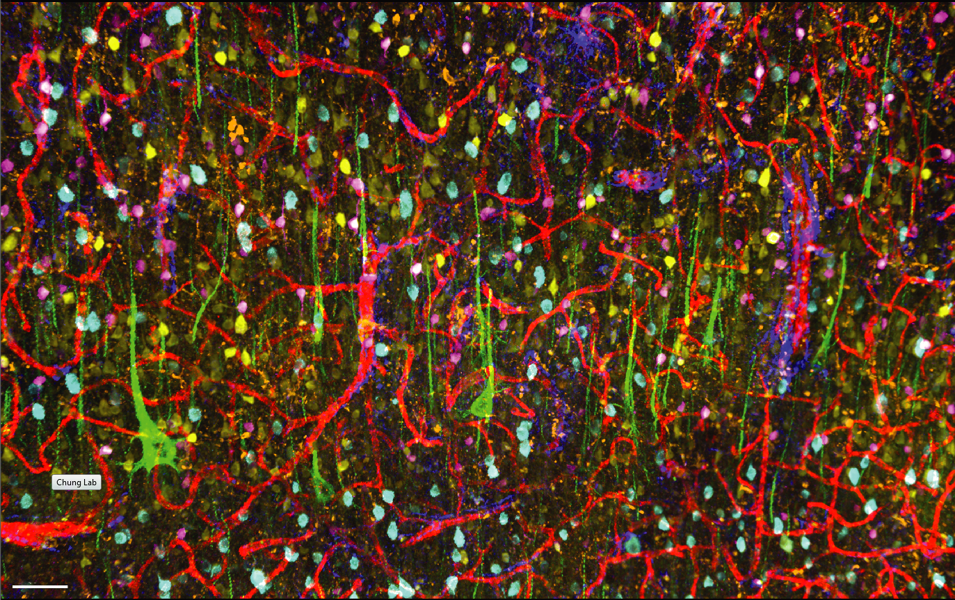 SWITCH resources online!