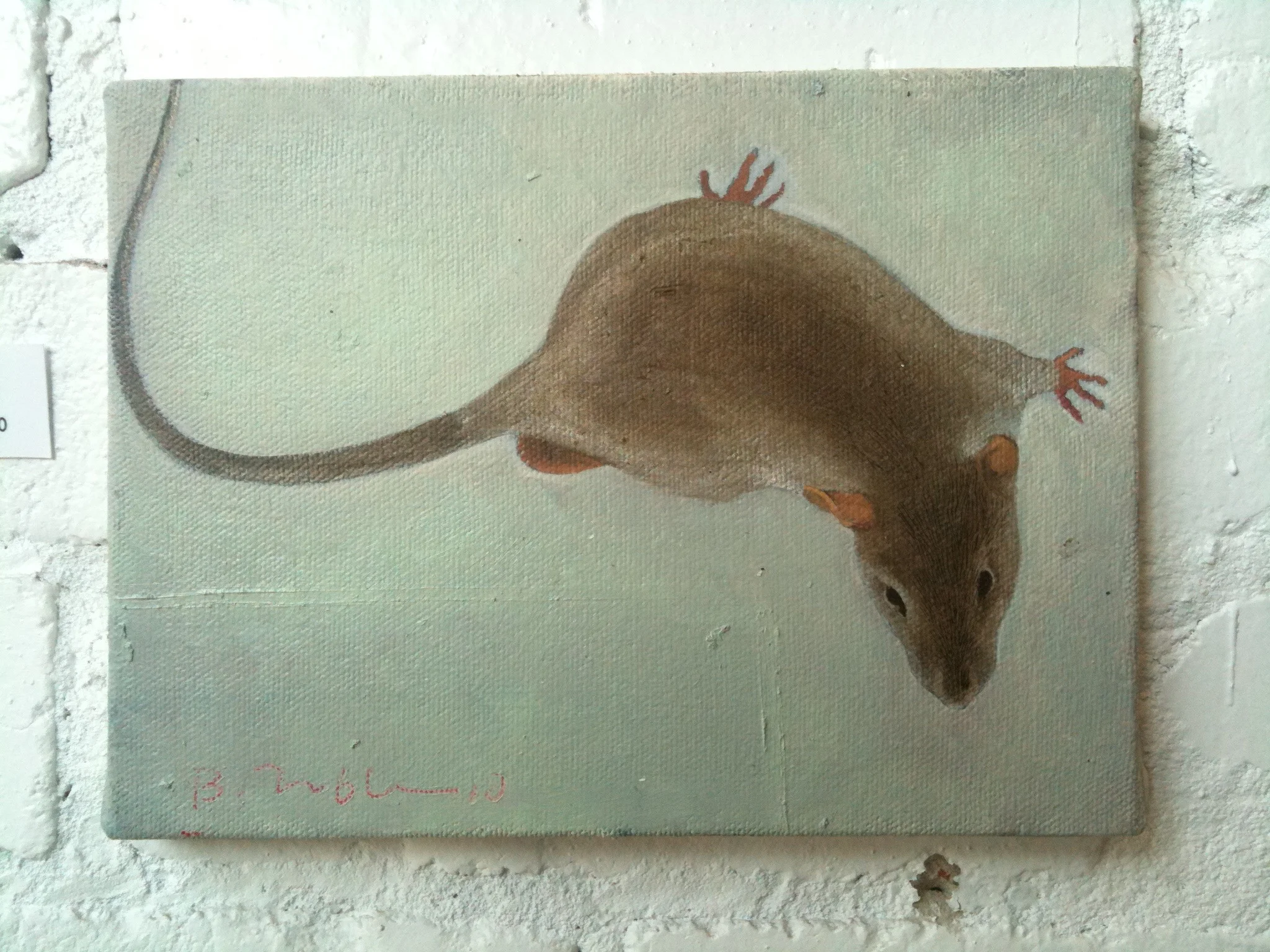 Rodent