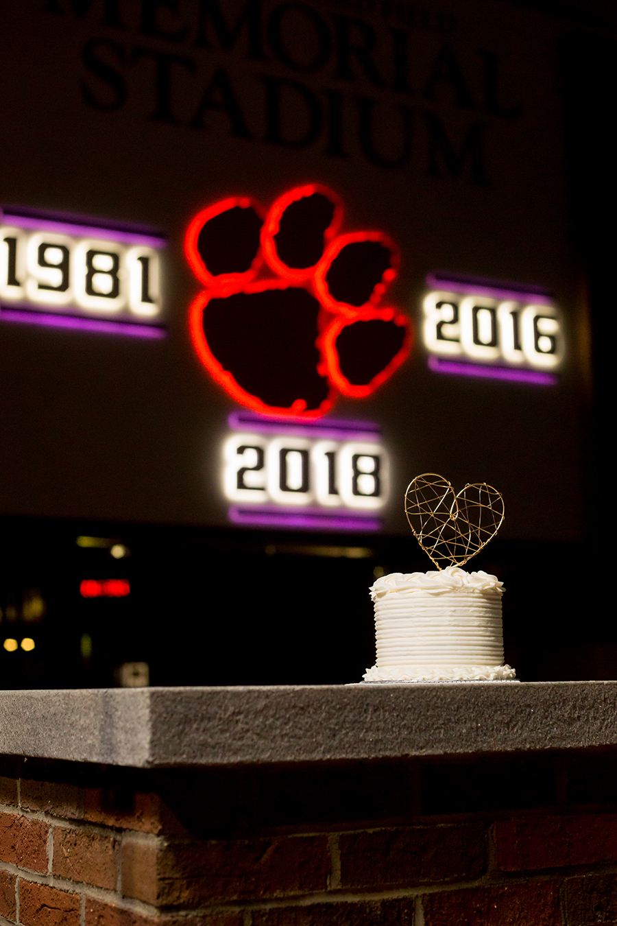 Clemson Elopement | Christine Scott Photography