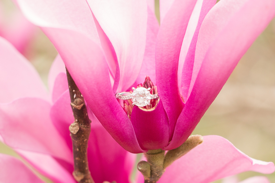 South Carolina Botanical Gardens Engagement Photos | Spring Engagement Photos at Clemson | Christine Scott Photography