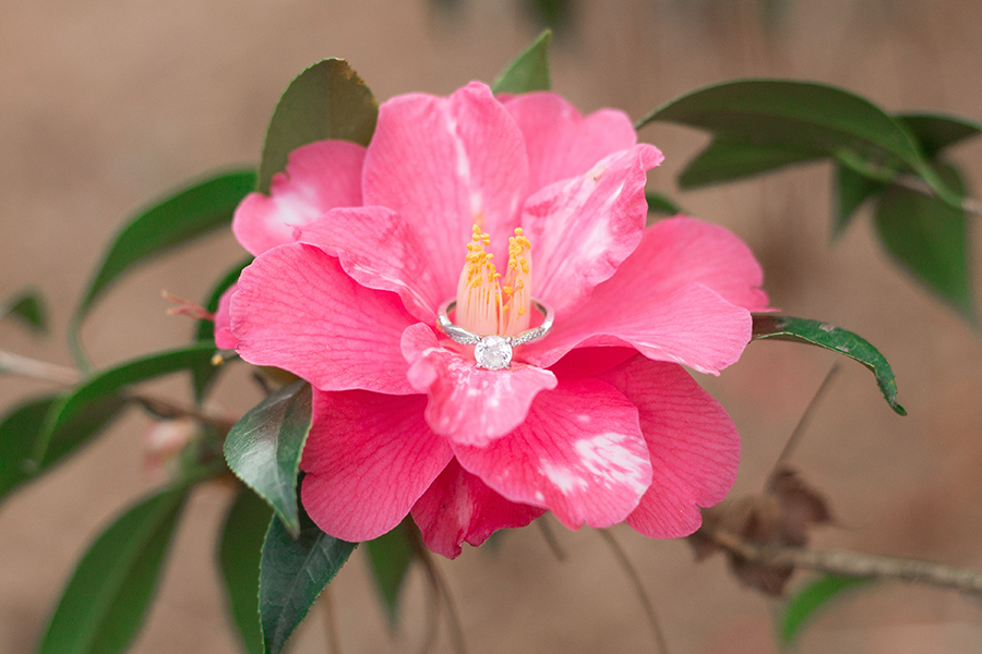 South Carolina Botanical Gardens Engagement Photos | Spring Engagement Photos at Clemson | Christine Scott Photography
