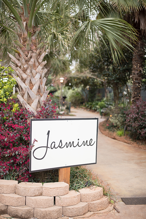 River Road Jasmine Columbia SC wedding | Star Wars wedding | Christine Scott Photography - 5