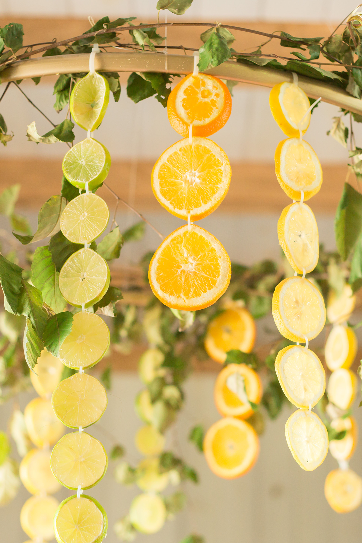 Citrus styled shoot-62.png