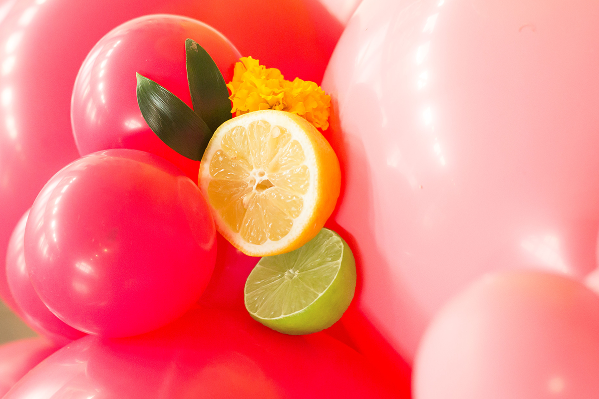 Citrus styled shoot-215.png