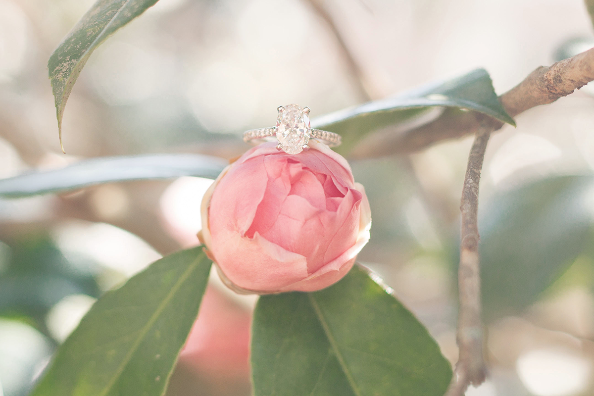 Engagement Photos at South Carolina Botanical Gardens