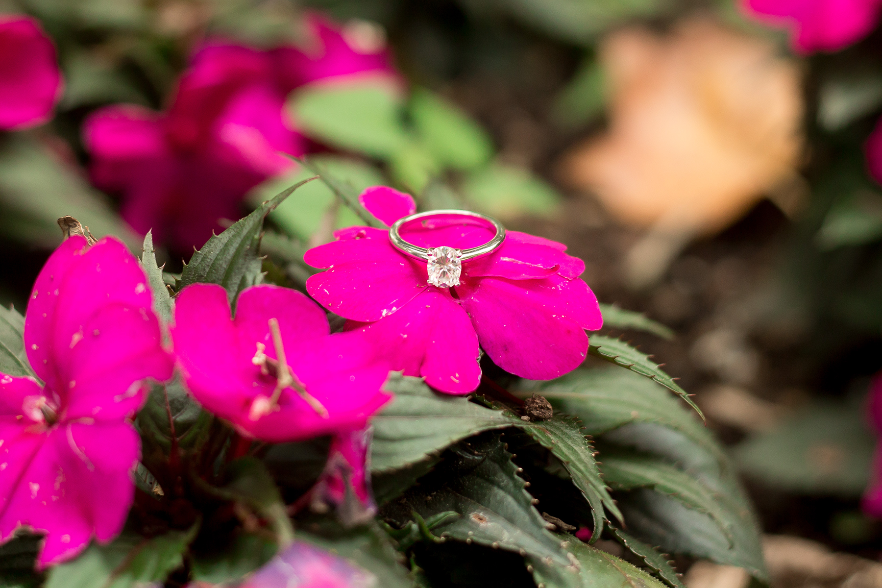 Falls Park Engagement Photos | Christine Scott Photography