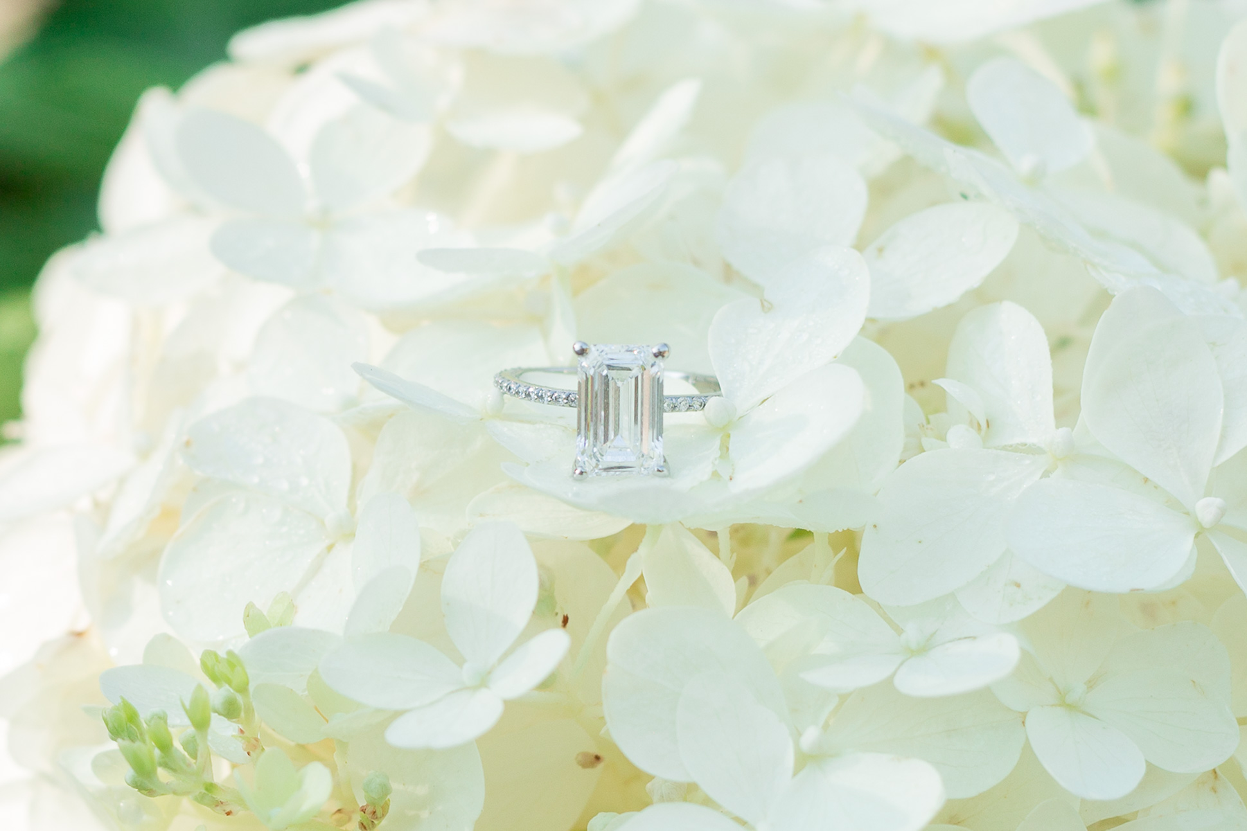 Chimney Rock, NC Engagement Photos