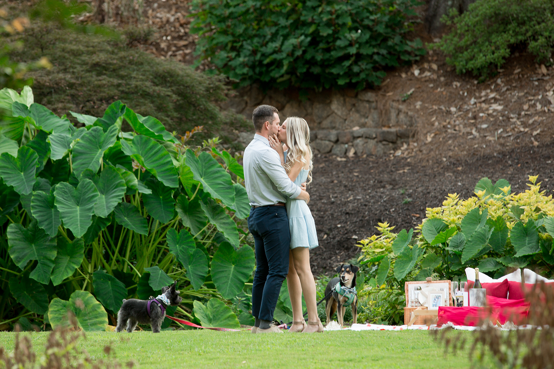 Rock Quarry Garden engagement photos | Christine Scott Photography