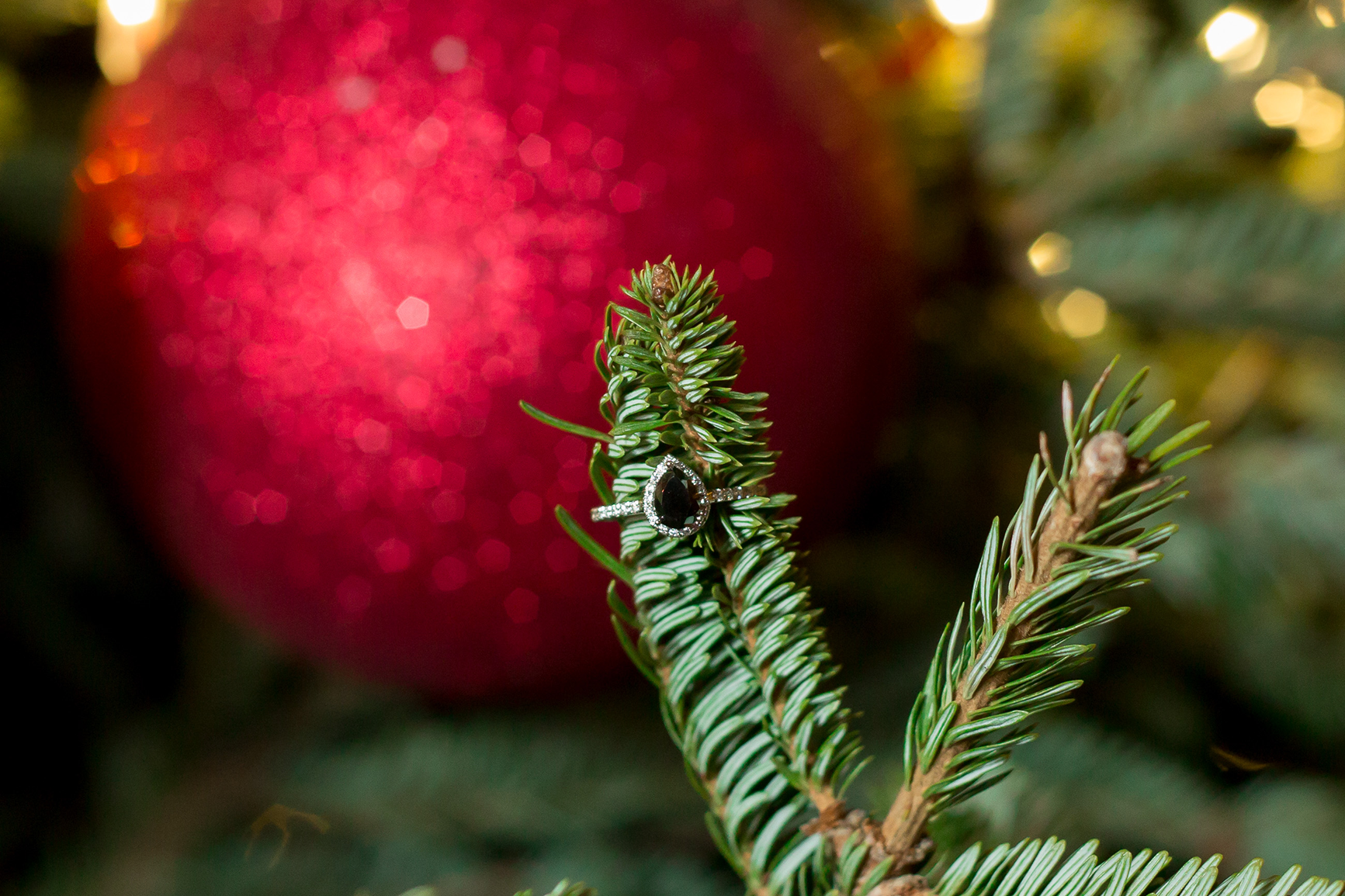 Christmas Engagement photos in Greenville, SC | Christine Scott Photography