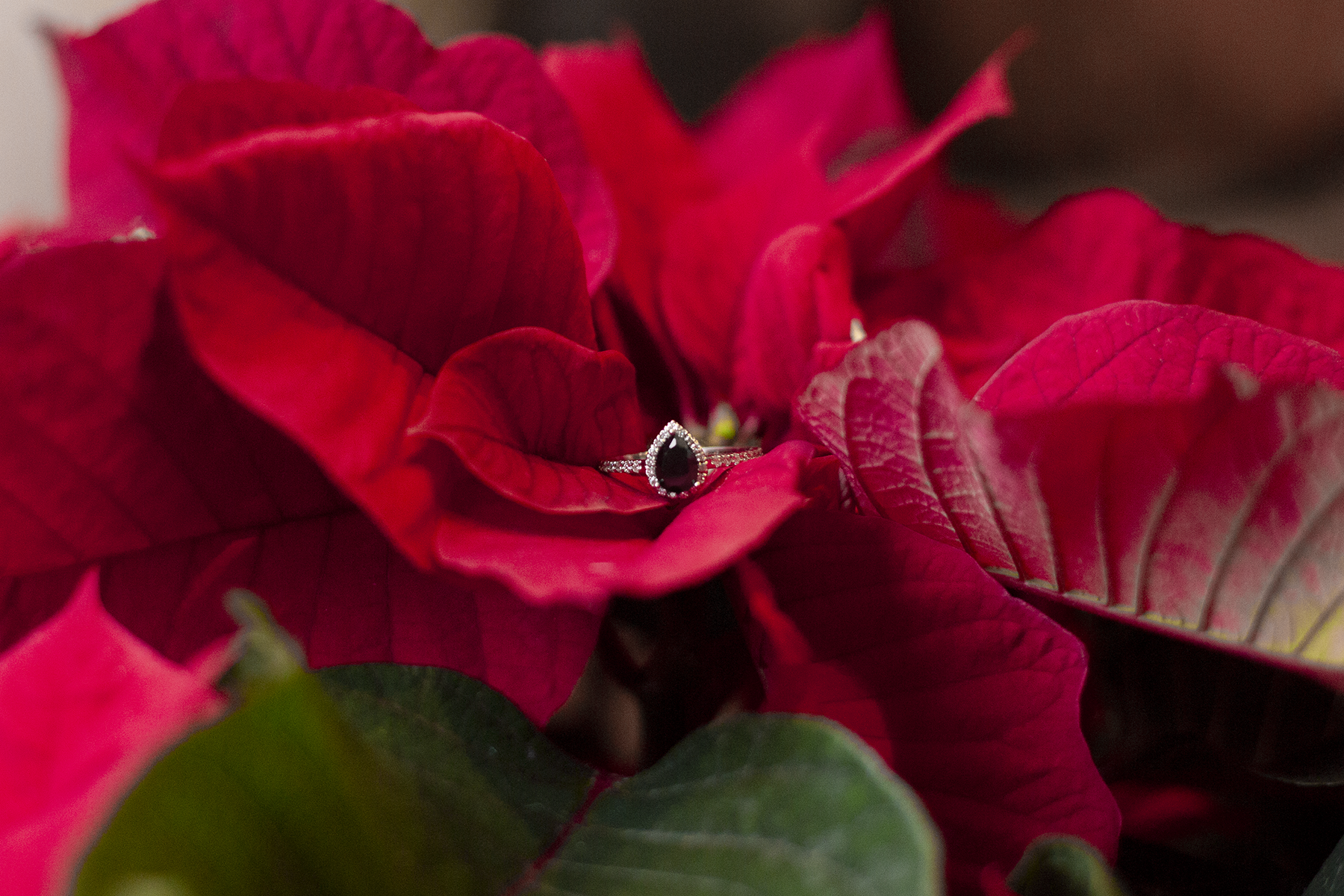 Christmas Engagement photos in Greenville, SC | Christine Scott Photography