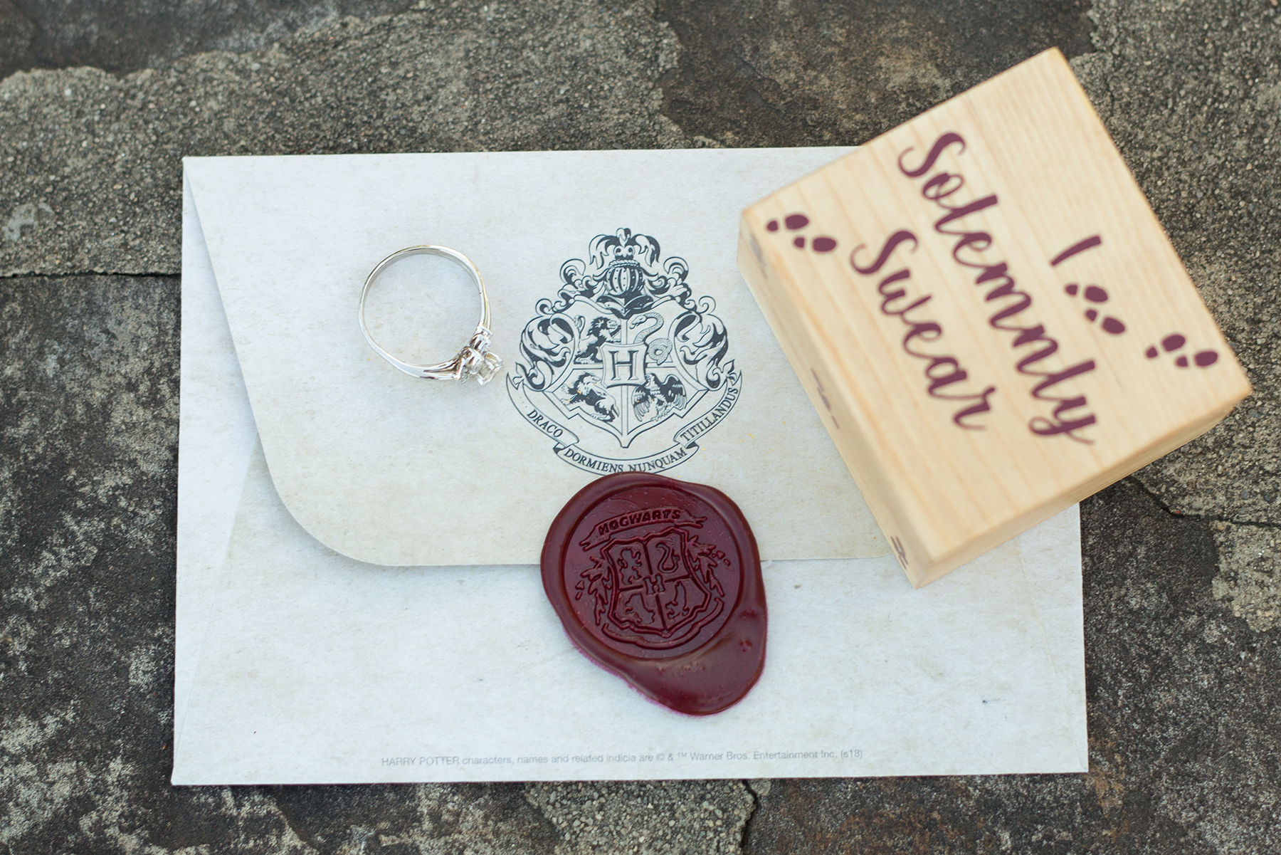 Harry Potter Engagement Photos at Lake Lure Flowering Bridge