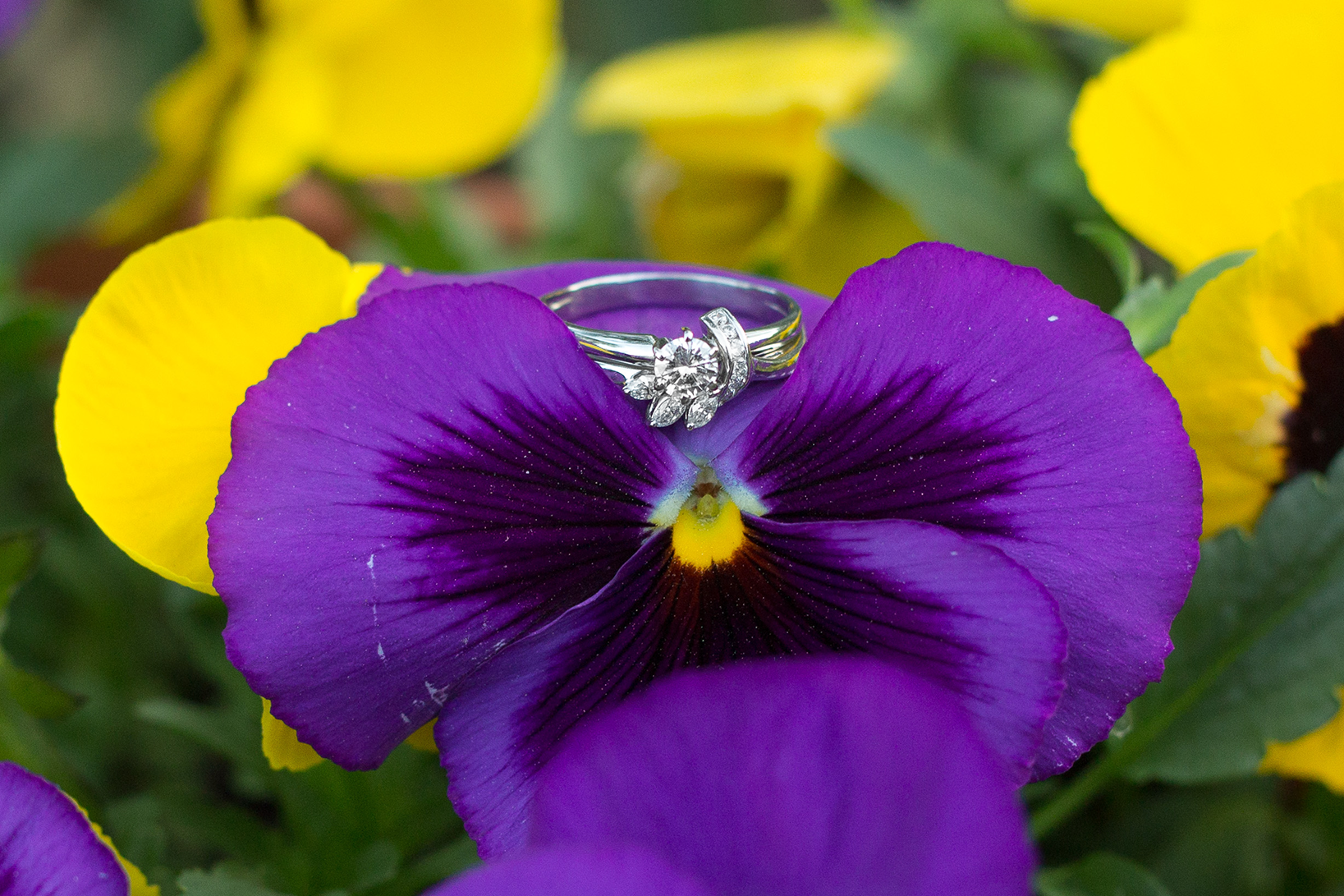 Spring engagement photos at Lake Lure, North Carolina