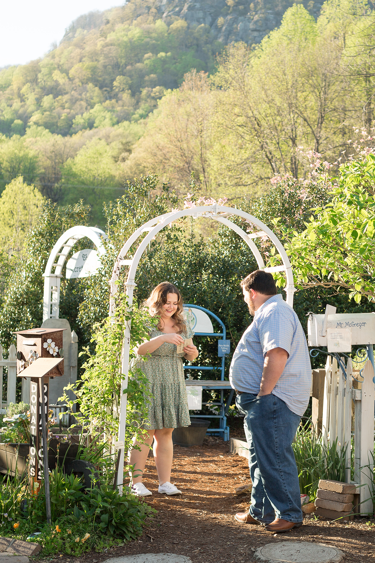 Proposal in Chimney Rock, North Carolina