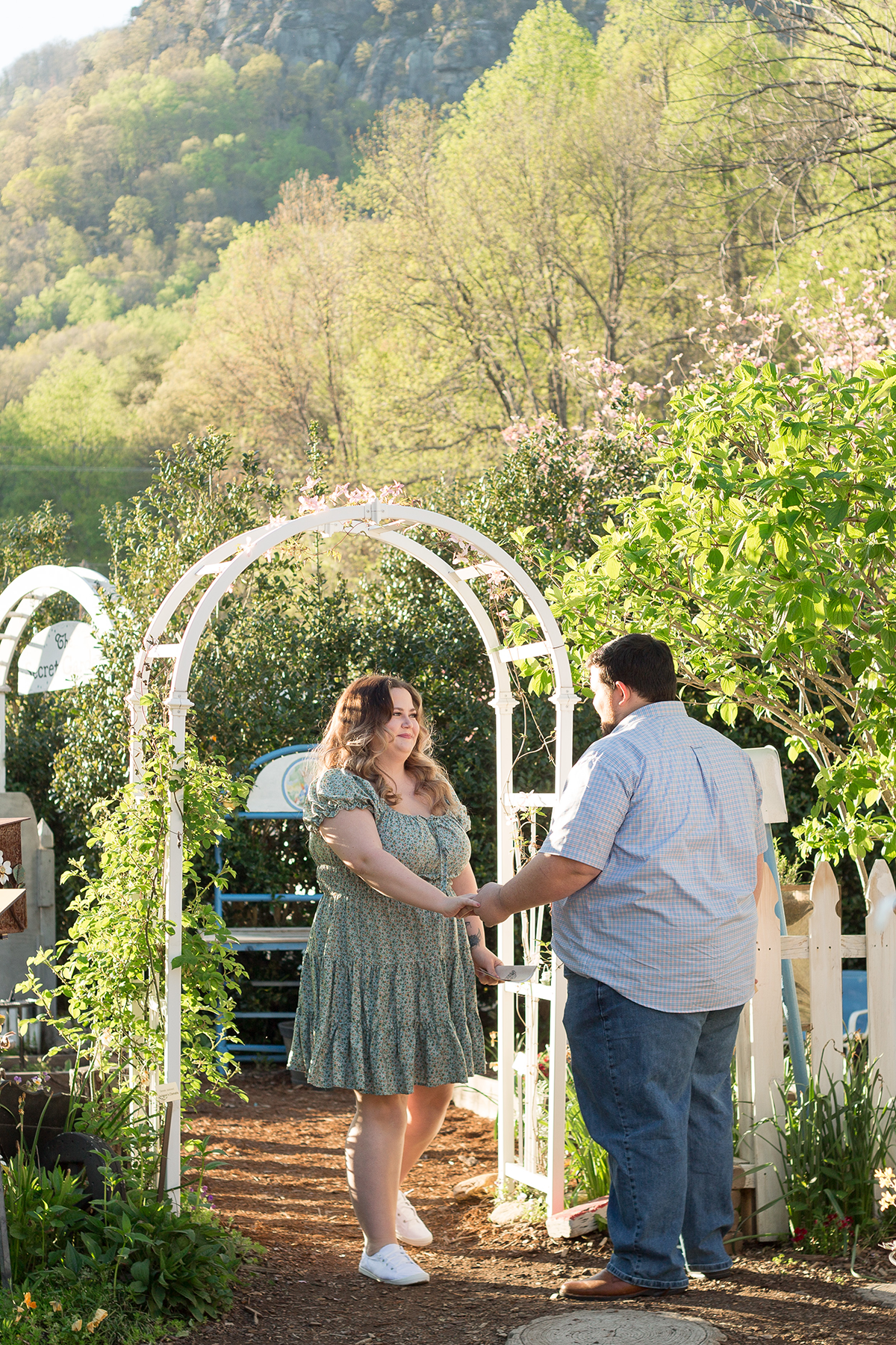 Proposal in Chimney Rock, North Carolina