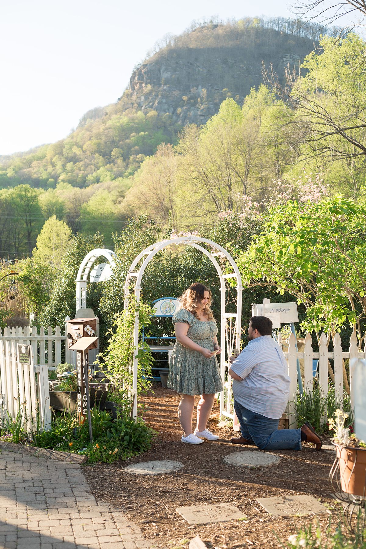 Proposal in Chimney Rock, North Carolina