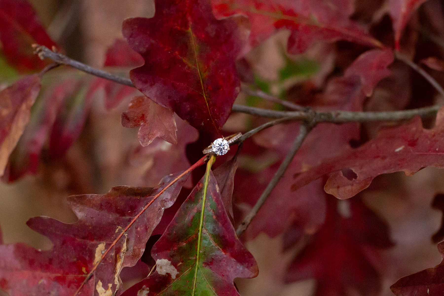 Fall Engagement Photos in South Carolina | Christine Scott Photography