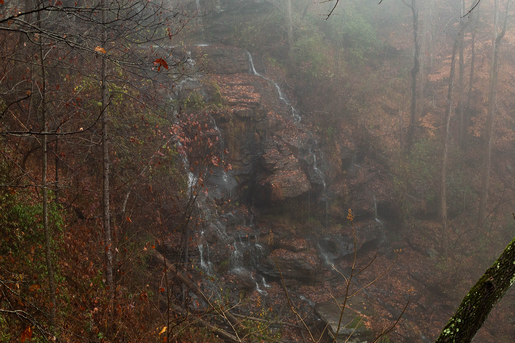 South Carolina Waterfall Engagement - Christine Scott Photography-1.png