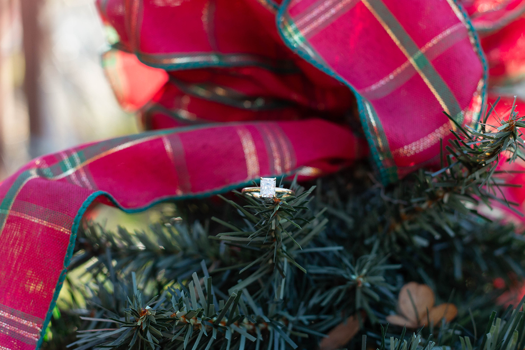 Engagement photos at Lake Lure Flowering Bridge | Christine Scott Photography