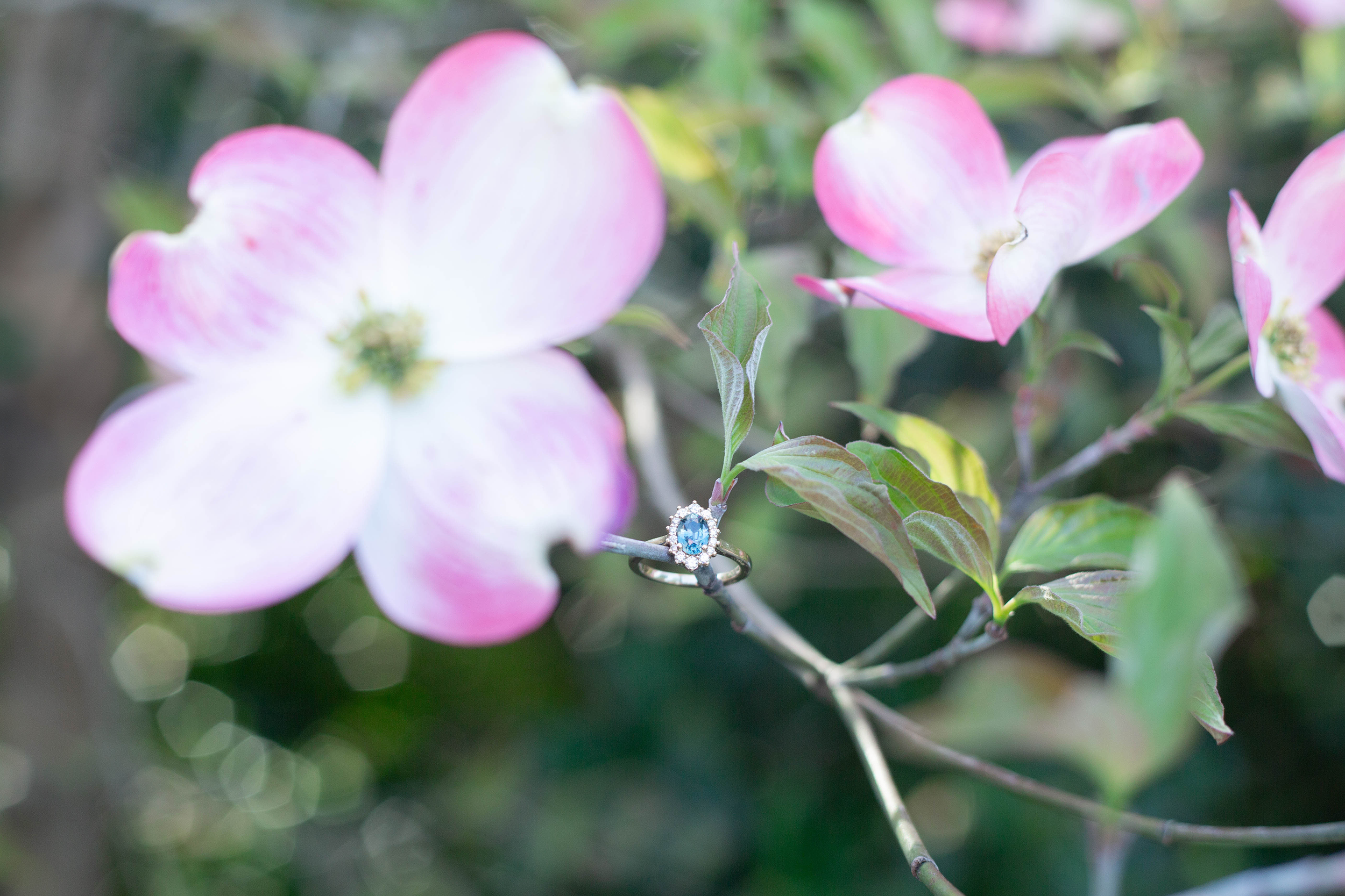 Engagement photos at Lake Lure Flowering Bridge | Christine Scott Photography