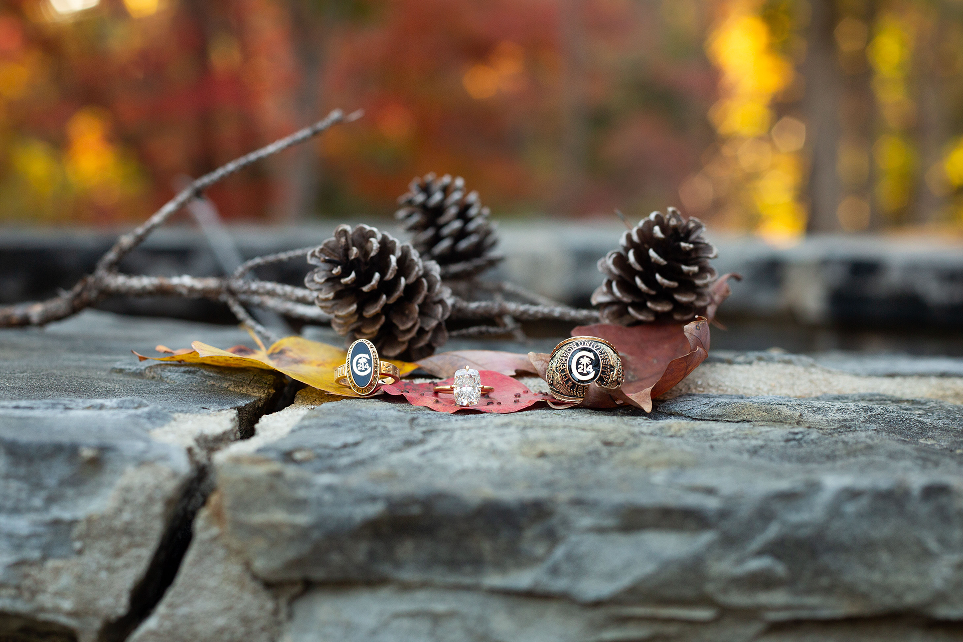 Engagement photos at Lake Keowee | Christine Scott Photography