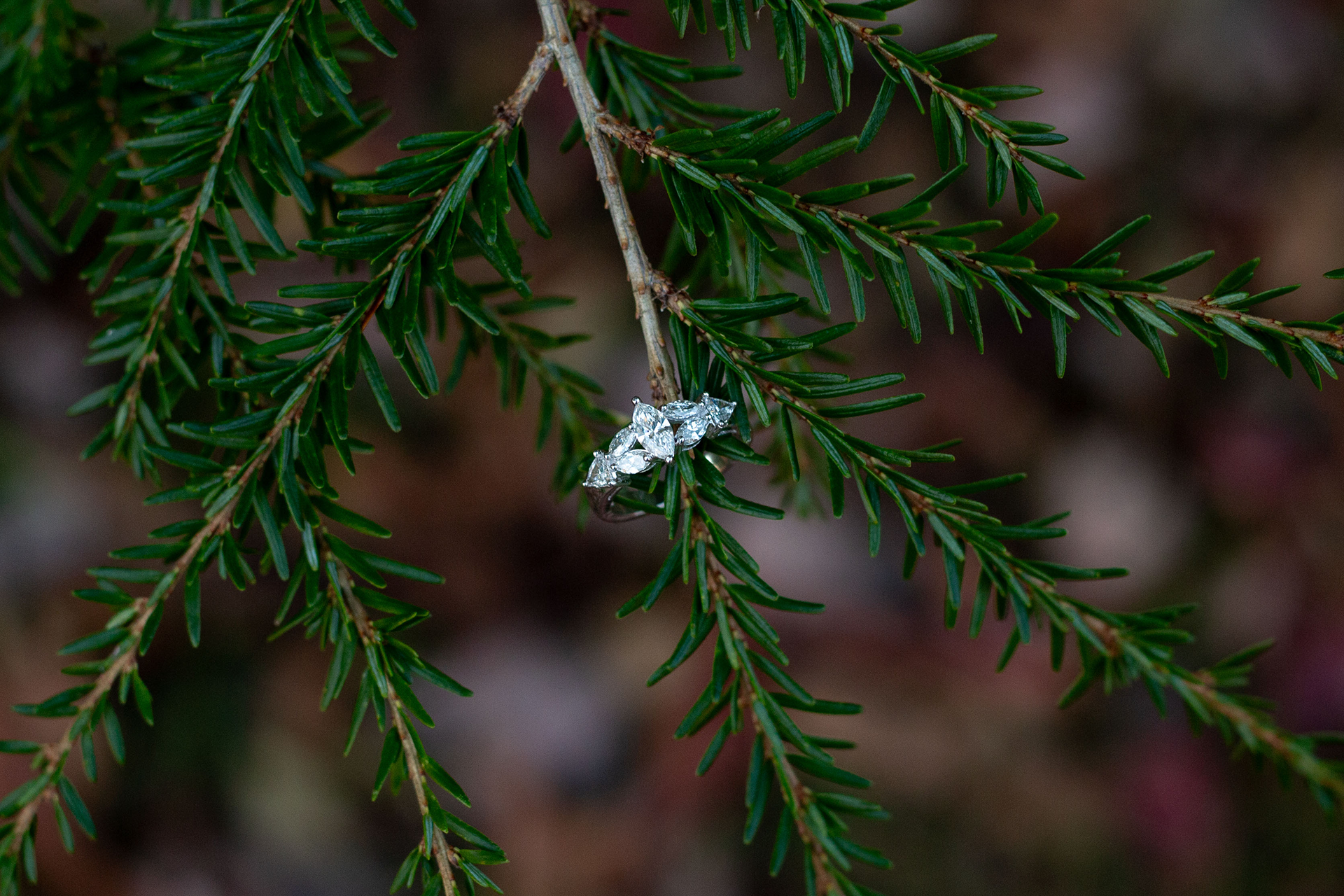 Engagement photos in upstate SC | Christine Scott Photography