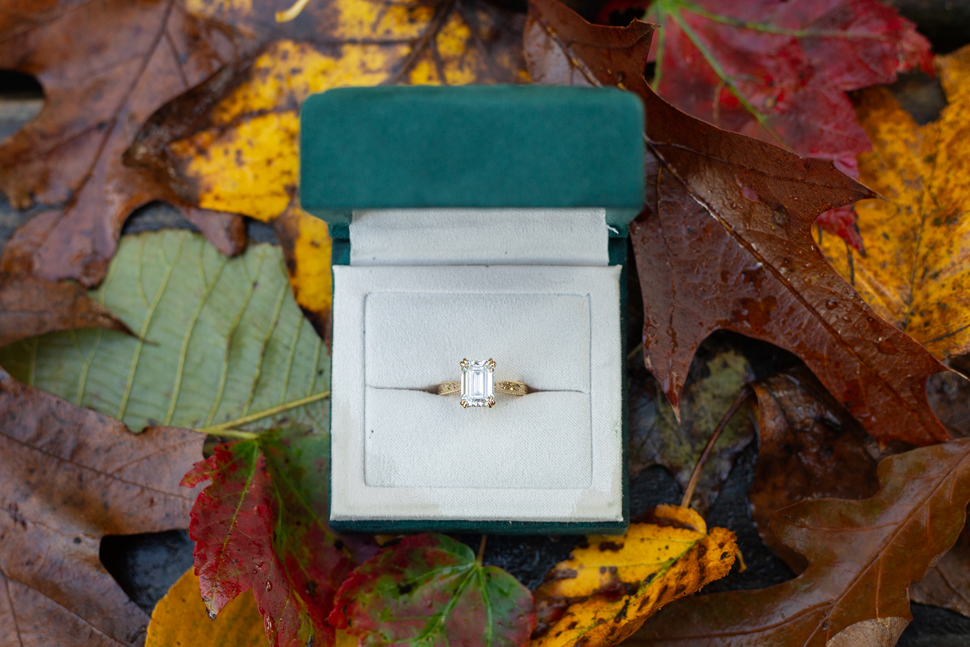 Fall engagement photos at Caesars Head State Park | Christine Scott Photography