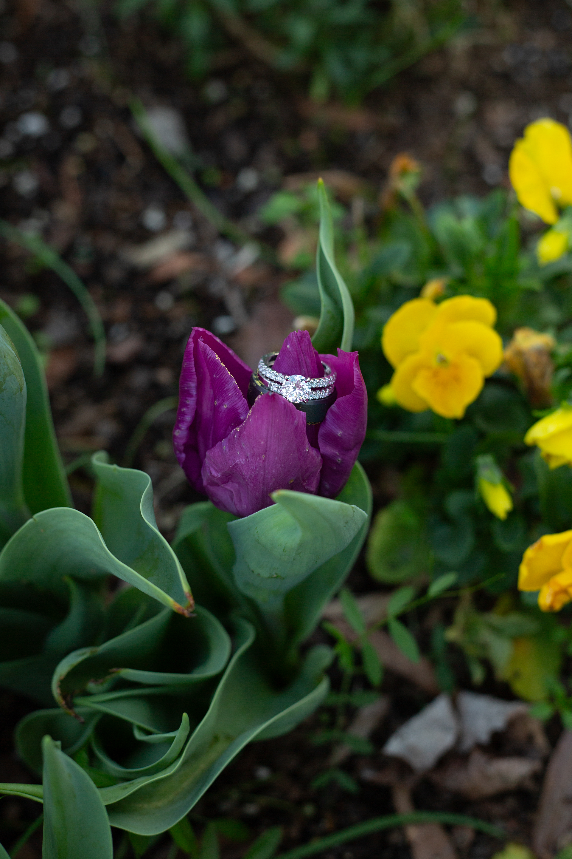 Spring elopement in downtown Greenville, SC | Christine Scott Photography