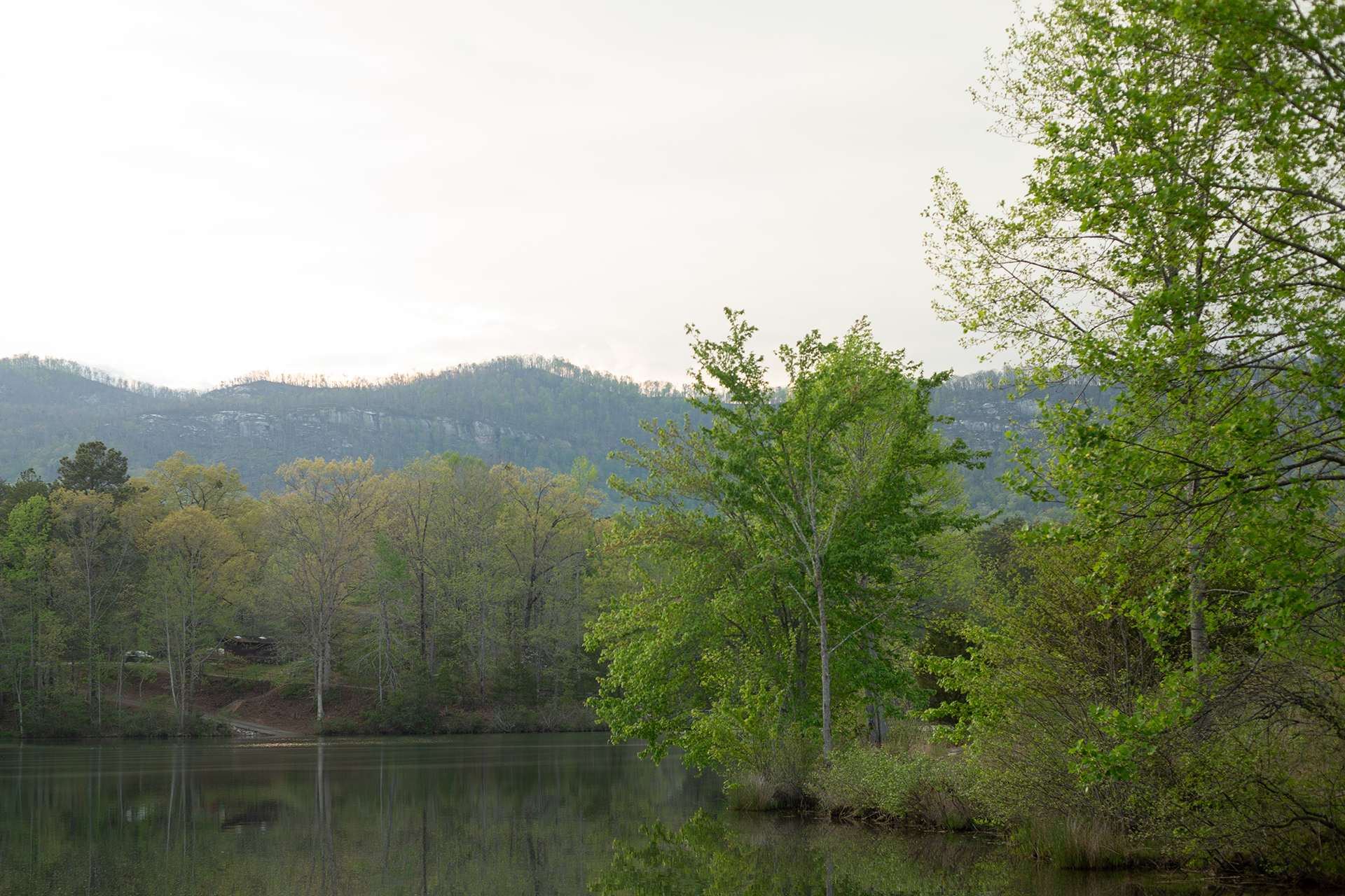 Engagement photos at Table Rock State Park | Christine Scott Photography