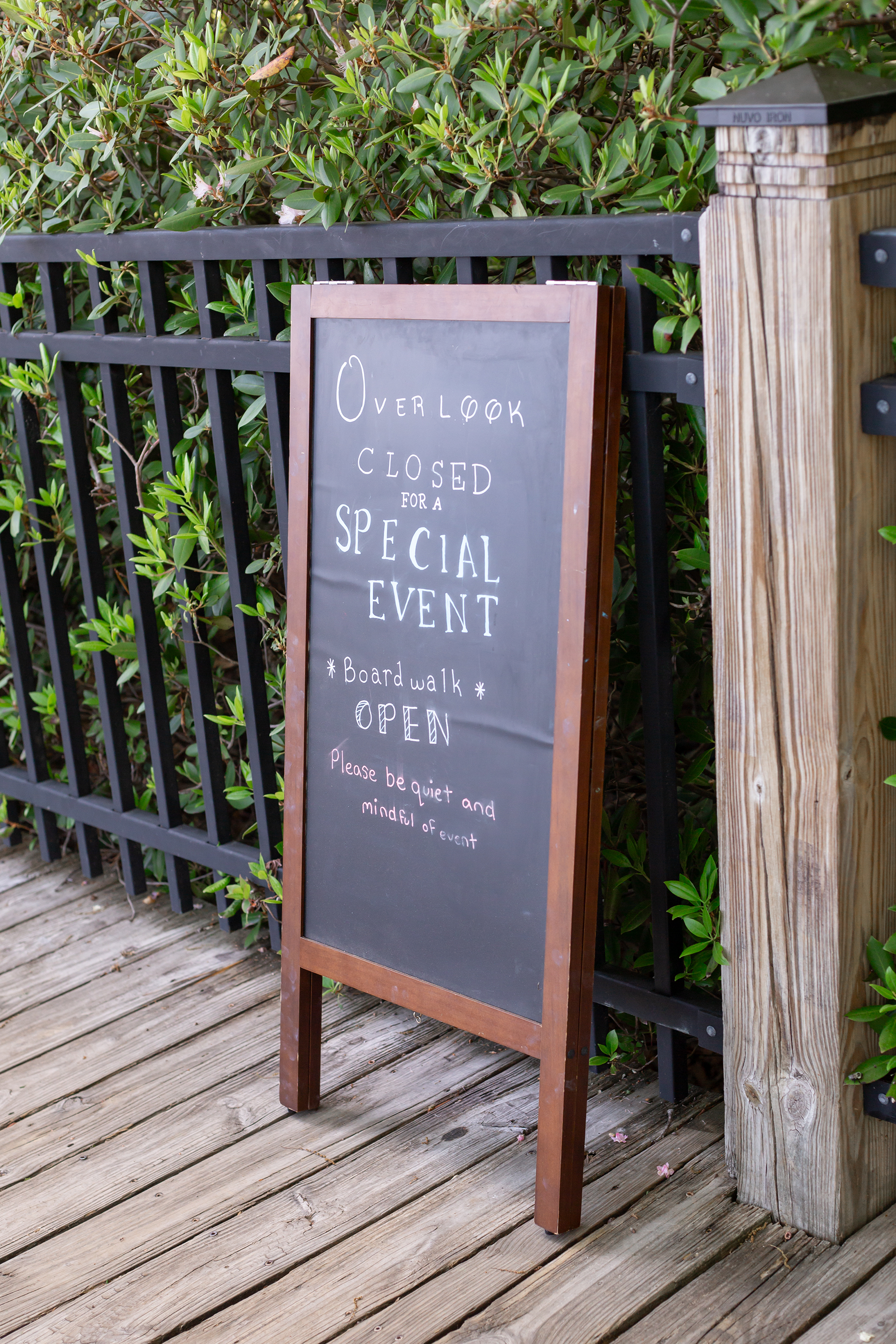 South Carolina Mountain Elopement | Christine Scott Photography