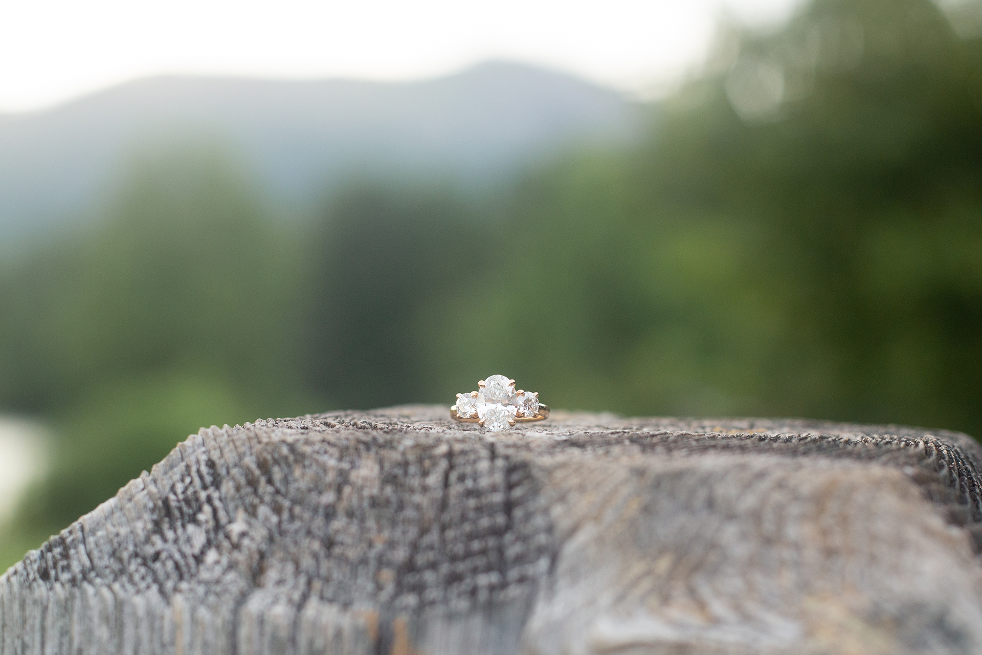 Proposal in upstate South Carolina | Christine Scott Photography