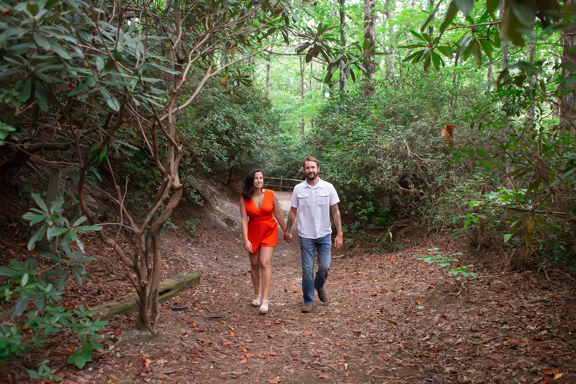 Engagement photos at Caesars Head State Park | Christine Scott Photography