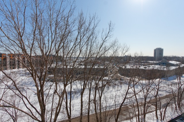 View.jpg