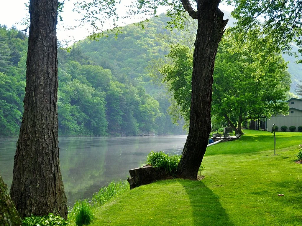Pine Creek in the Summer