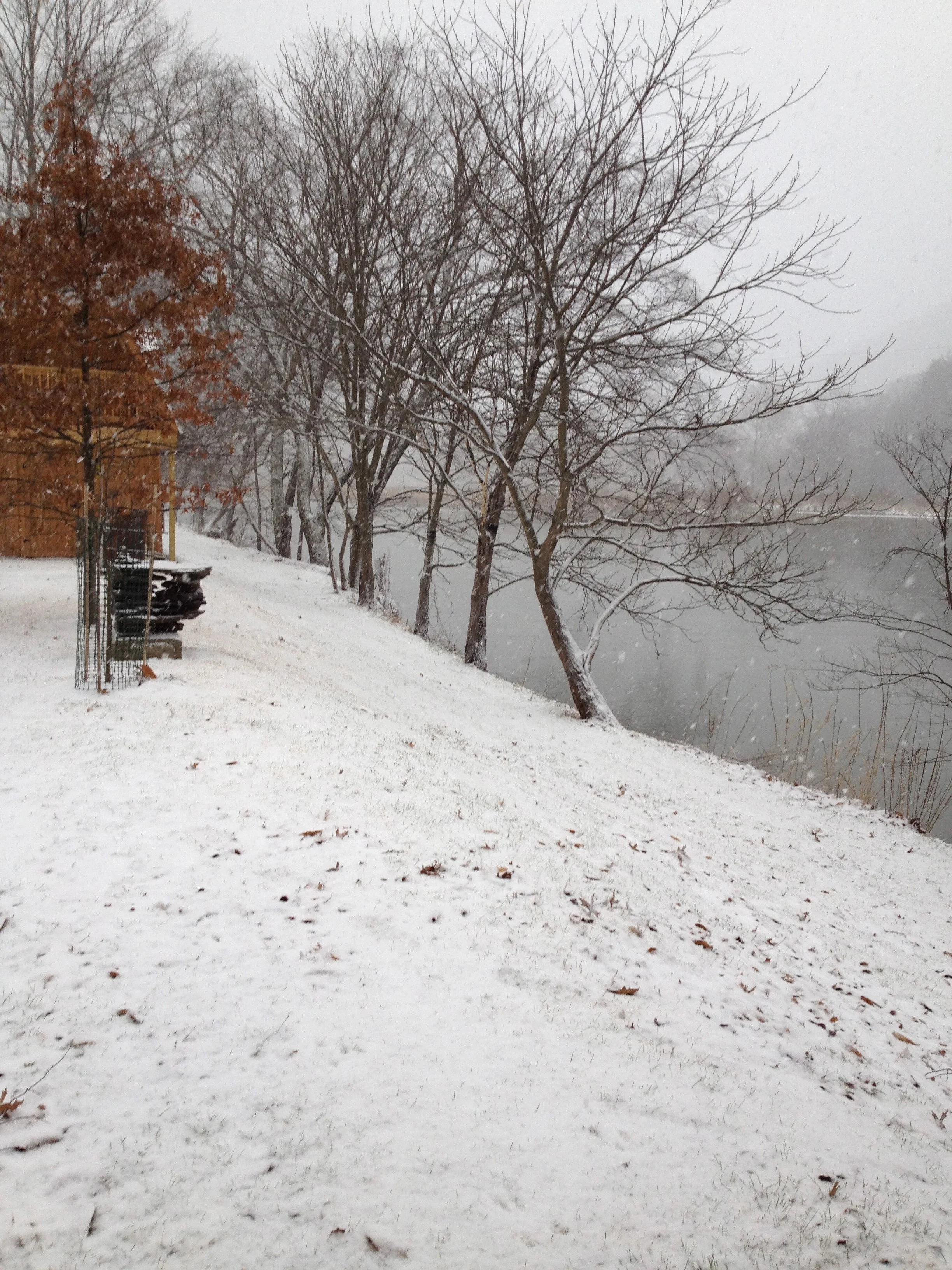 Winter on Pine Creek