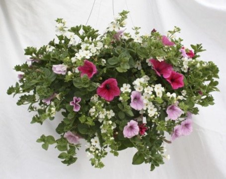 Flower Basket 4.jpg