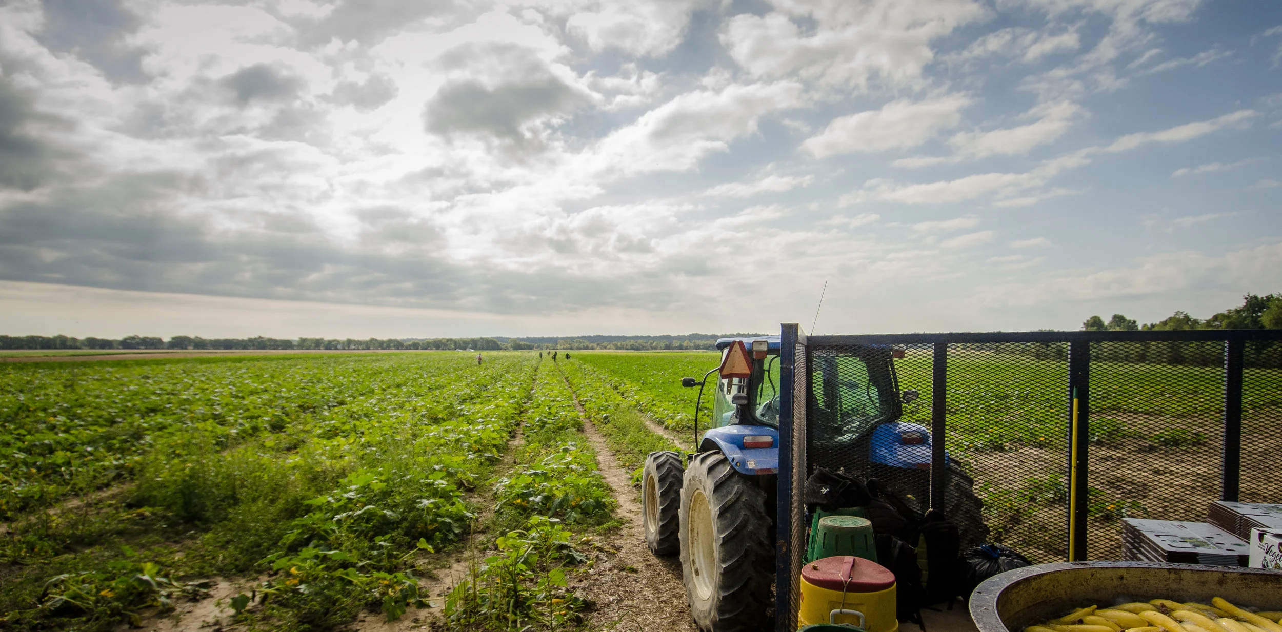 Image courtesy of US Department of Agriculture.