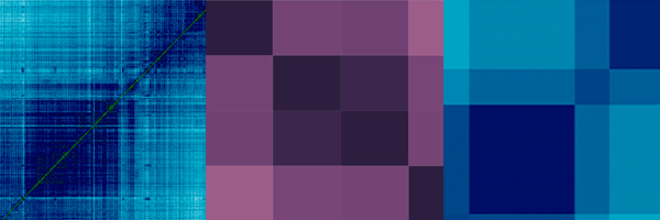 Website Header no logo.jpg