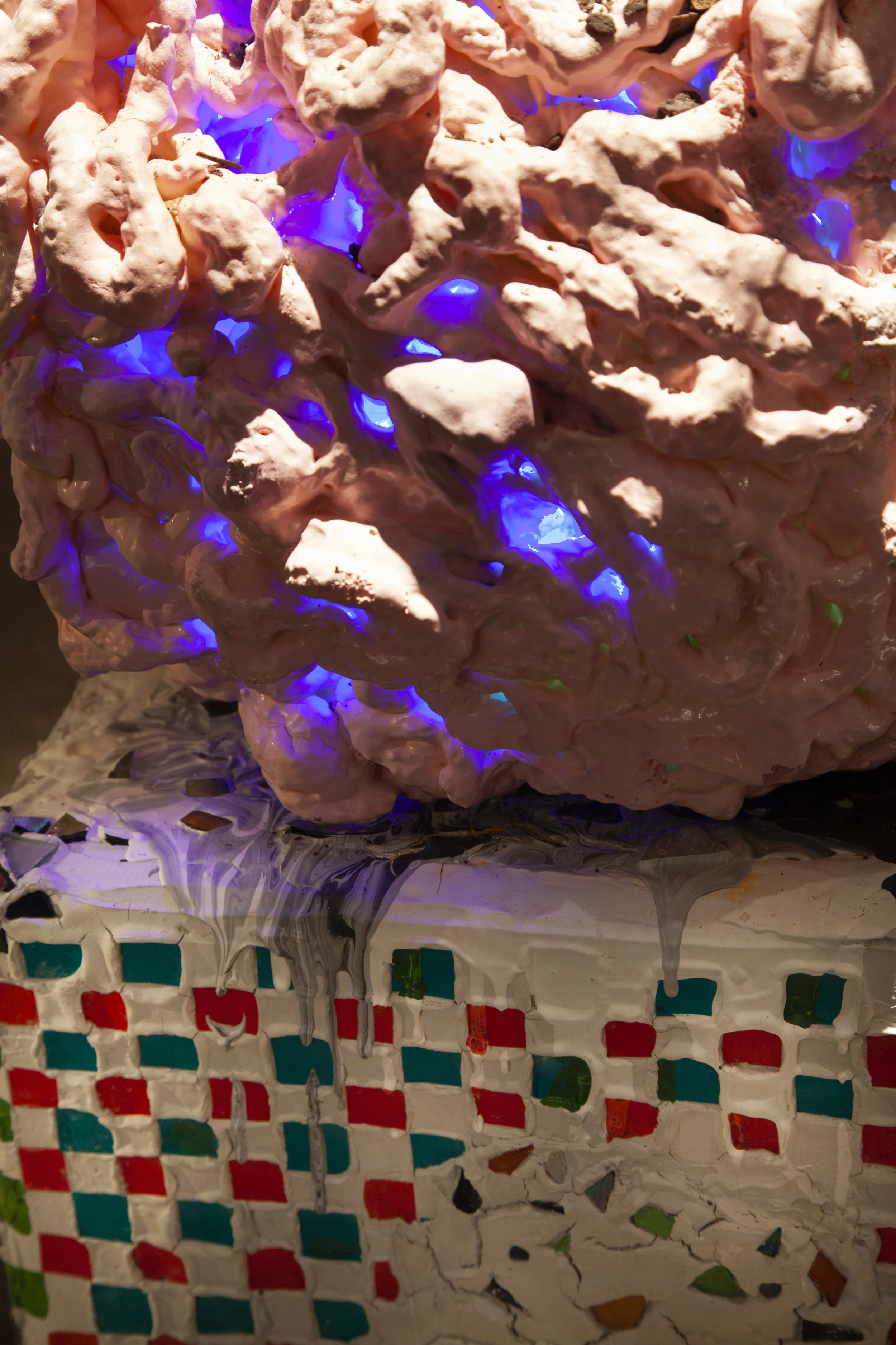 Fish, Brains, and the Burning Bush, Detail