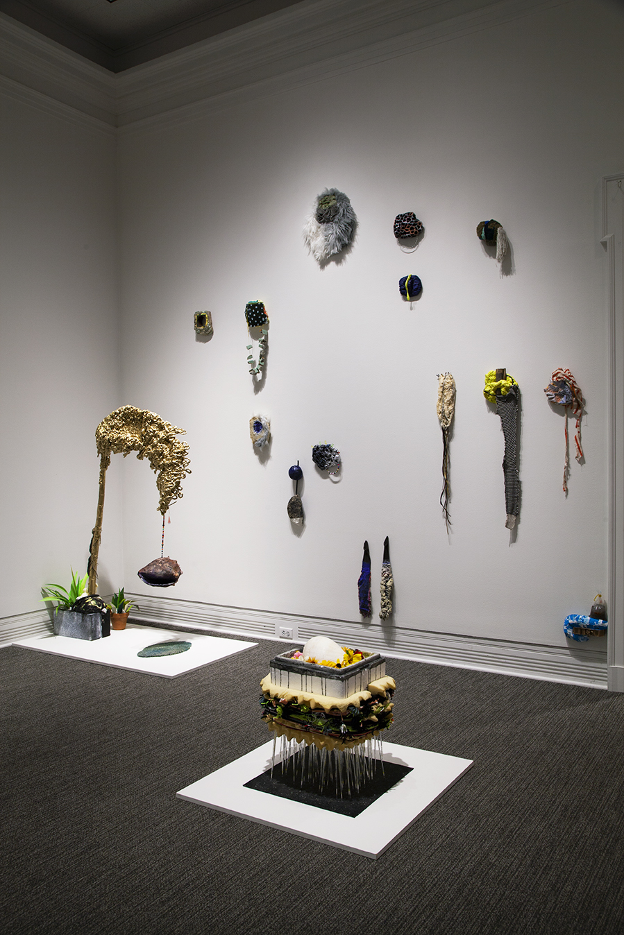 Little_Ackland_Install Shot_72dpi.jpg
