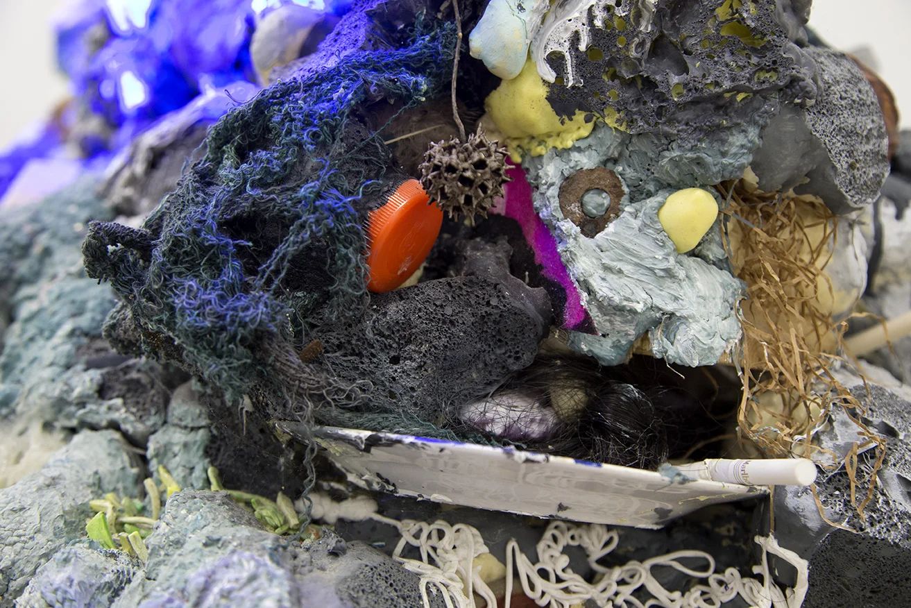 Sorry Mom (Laws of the Landfill), Detail