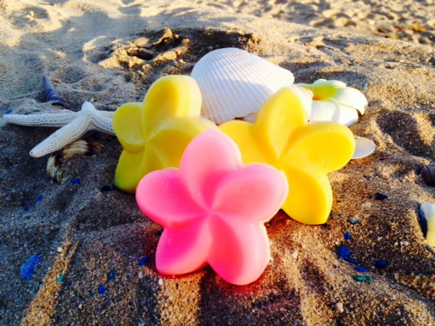 plumeria-multi.jpeg