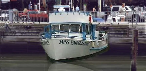 1253.jpg