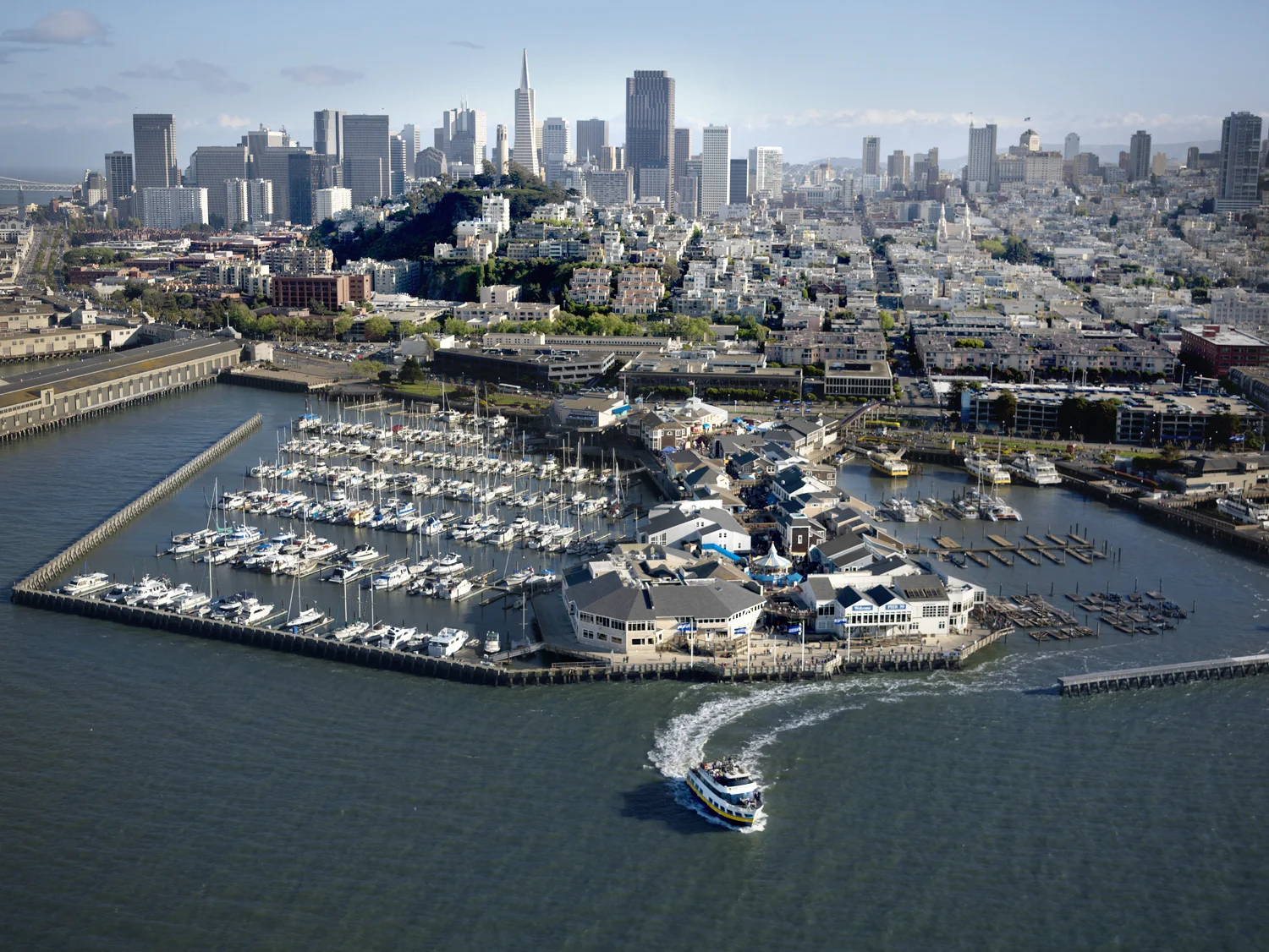 PIER-39 San Francisco.jpg