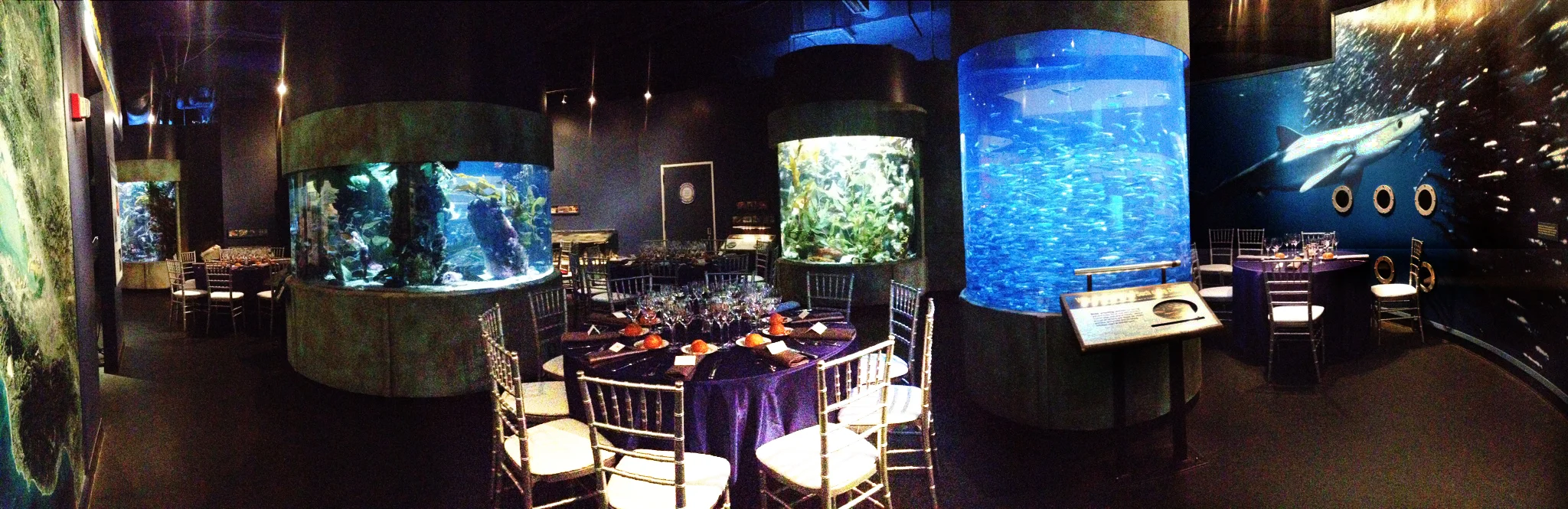 01. Seated Dinner.jpg