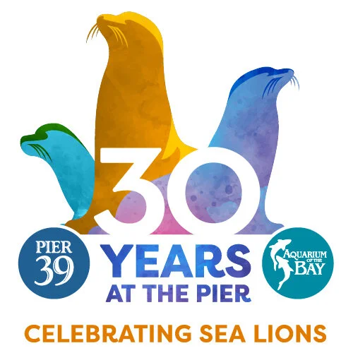 Sea Lion Anniversary Weekend 